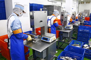 「麻」上优游云林！朝露鱼舖观光工厂x gomaji携手祭出针织惊